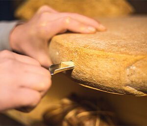 Réservation Paroles de Fromagers