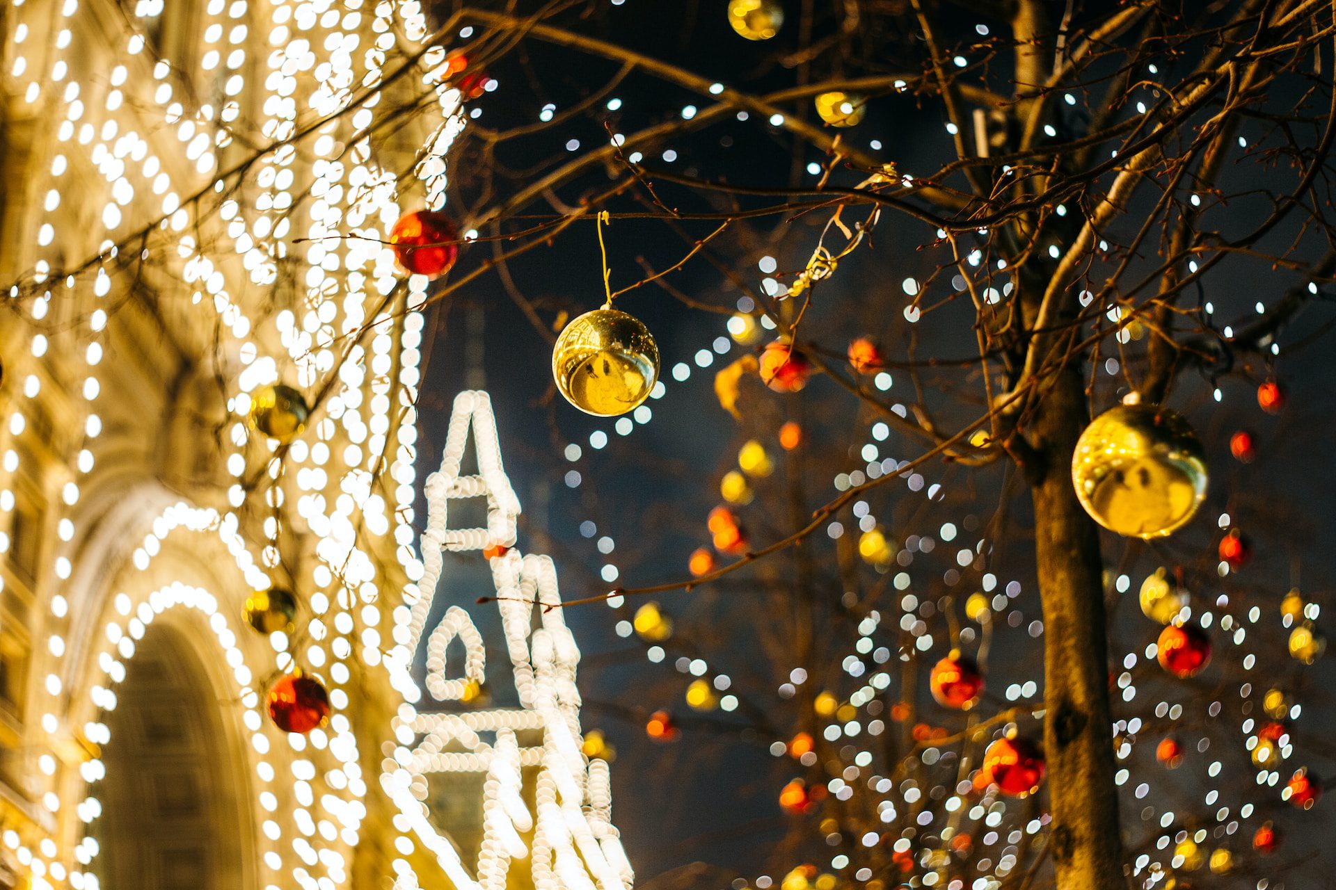Bateaux-Mouches Christmas lunch cruise in Paris with festive view