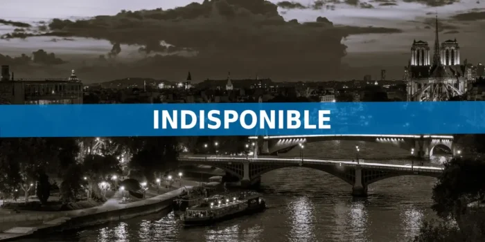 Dîner Croisière du Nouvel An